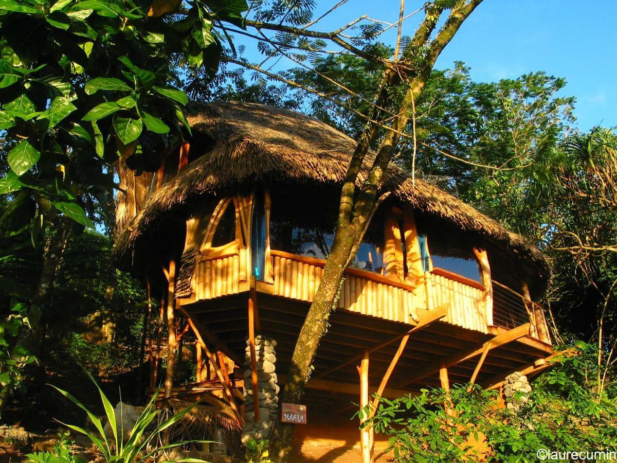 Vanira Lodge Teahupoo Exterior foto